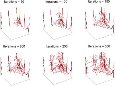 SMoRe ParS: A novel methodology for bridging modeling modalities and experimental data applied to 3D vascular tumor growth